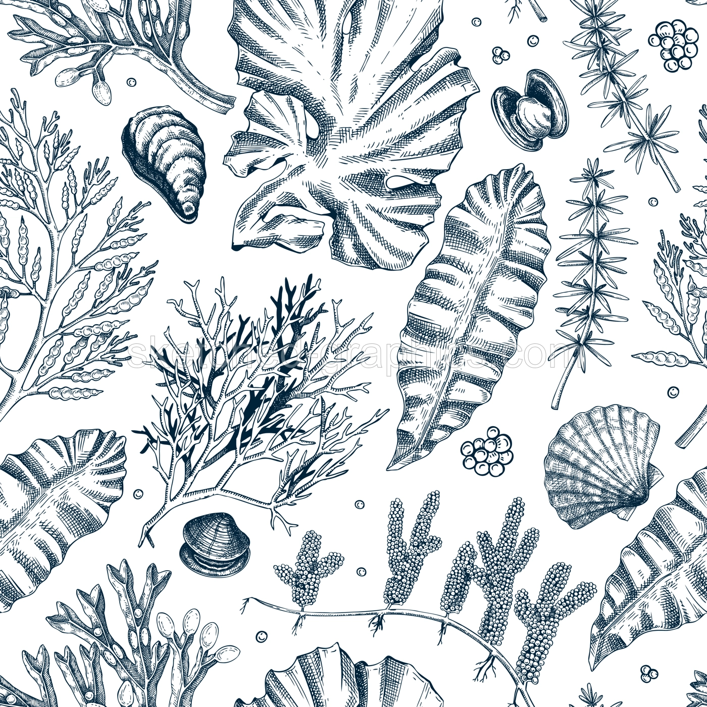 Sea life background. Edible seaweed seamless pattern. Hand-drawn kelp, kombu, wakame, hijiki, sea shells illustrations. Underwater plants and algae sketches. For print, menu design or fabrics Illustration